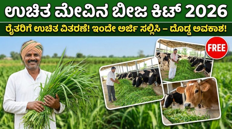 Free Fodder Seed Kit Scheme