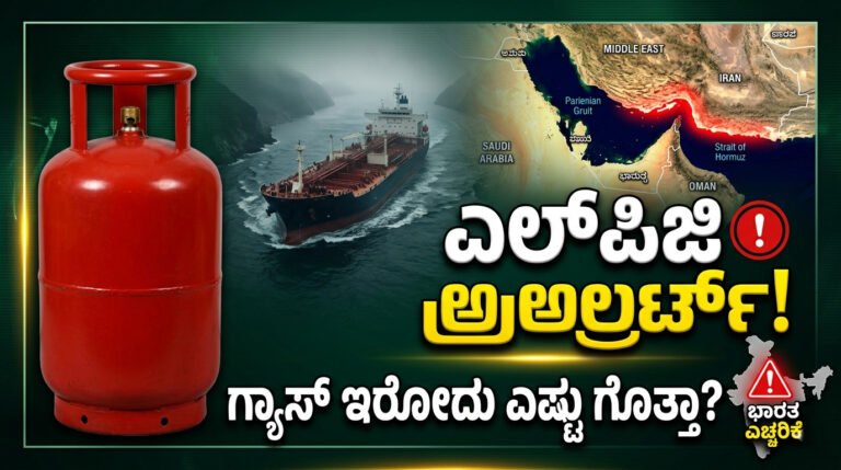 LPG consumption India per day