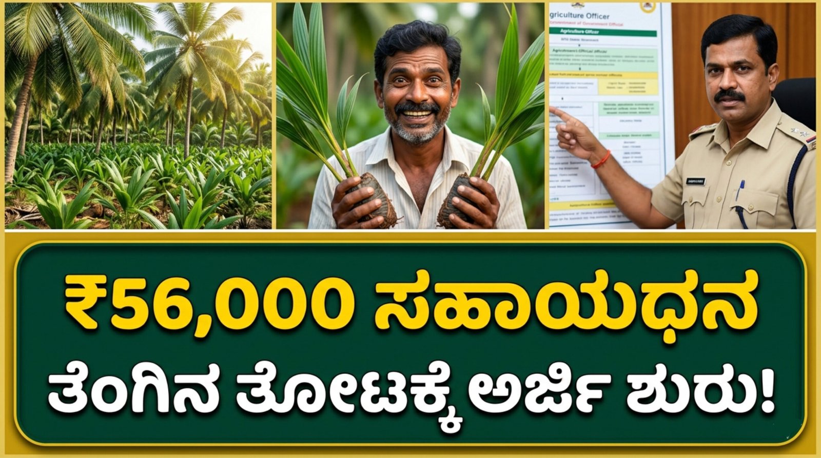 Coconut Farm Subsidy 2026